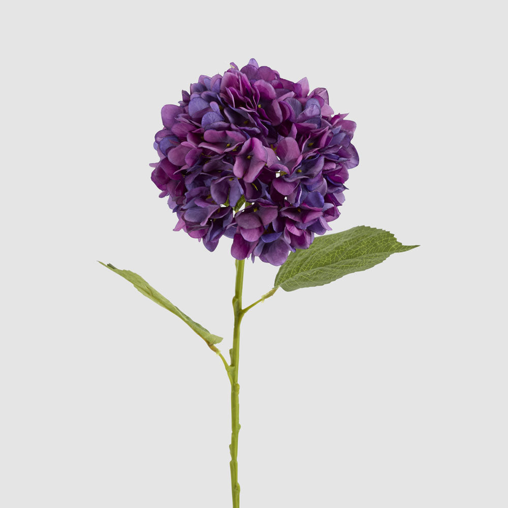 Hydrangea Claire Stem Purple 6 pcs