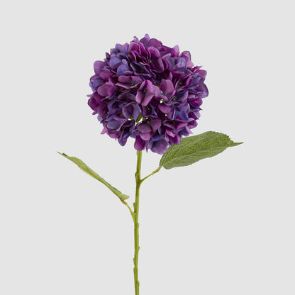 Hydrangea Claire Stem Purple 6 pcs