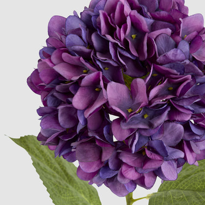 Hydrangea Claire Stem Purple 6 pcs