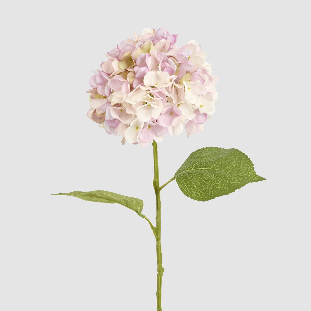 Hydrangea Claire Stem Pink 6 pcs