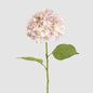Hydrangea Claire Stem Pink 6 pcs