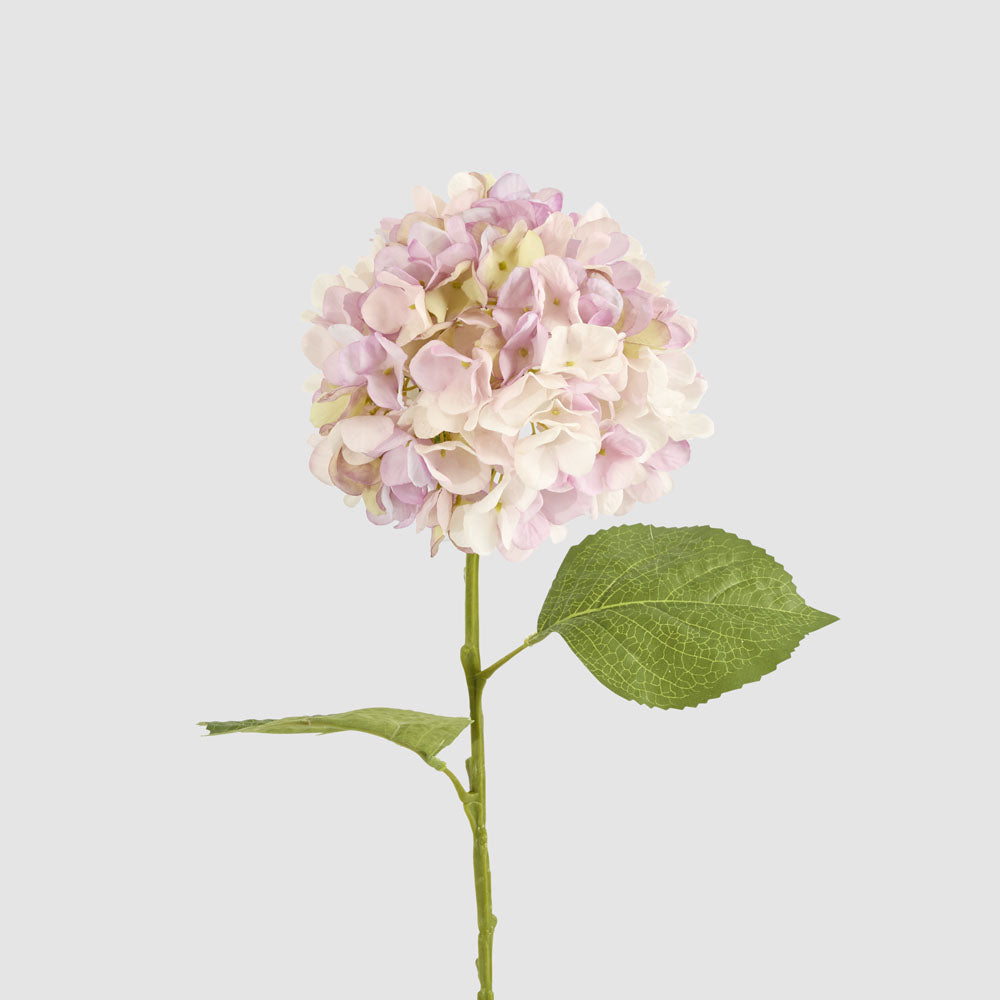 Hydrangea Claire Stem Pink 6 pcs