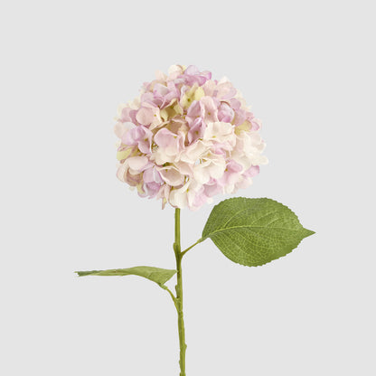 Hydrangea Claire Stem Pink 6 pcs