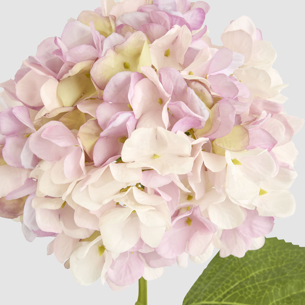 Hydrangea Claire Stem Pink 6 pcs