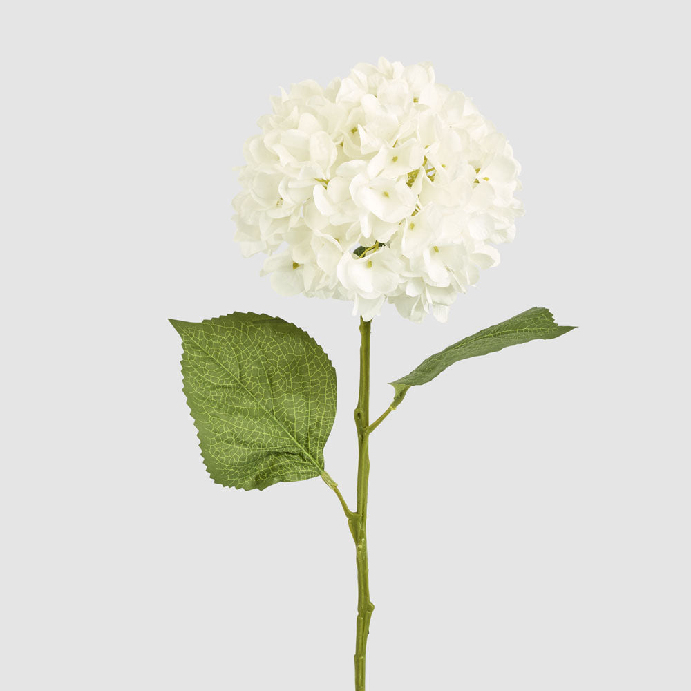 Hydrangea Claire Stem White 6 pcs