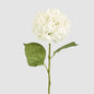 Hydrangea Claire Stem White 6 pcs