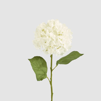 Hydrangea Claire Stem White 6 pcs