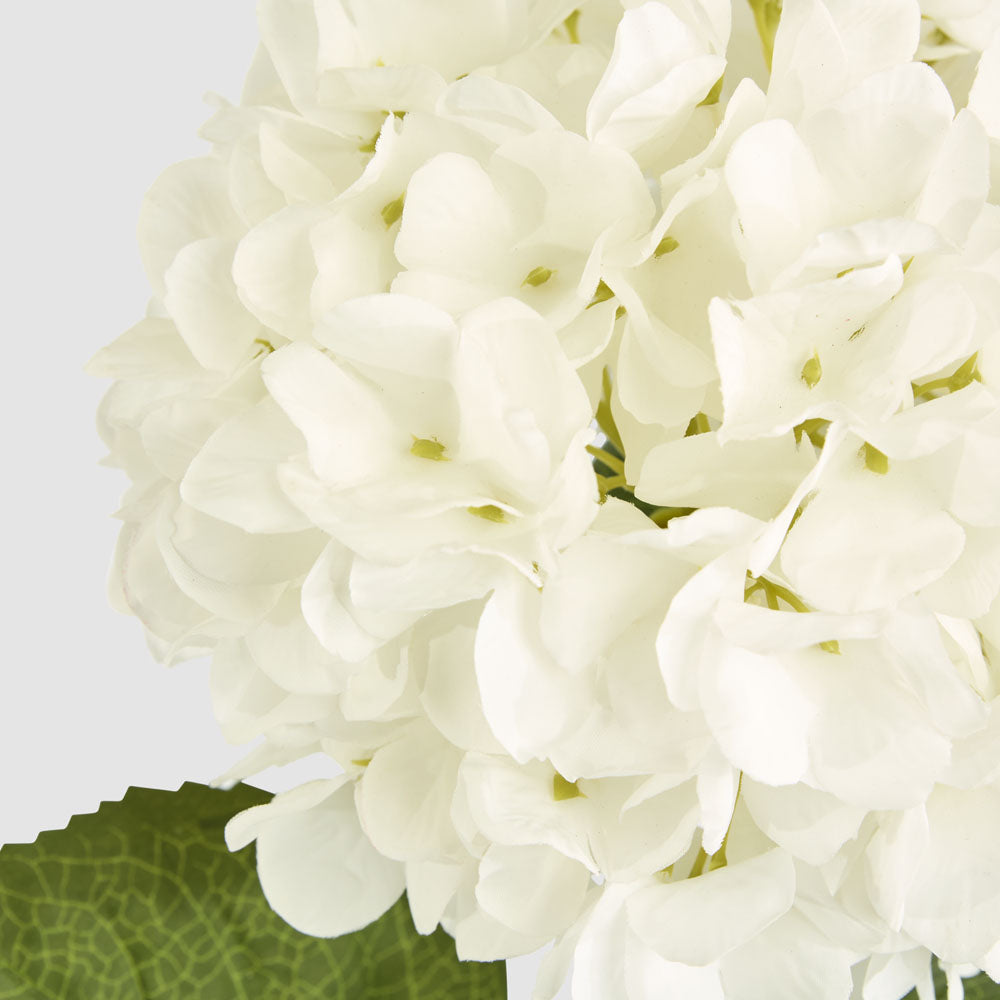 Hydrangea Claire Stem White 6 pcs