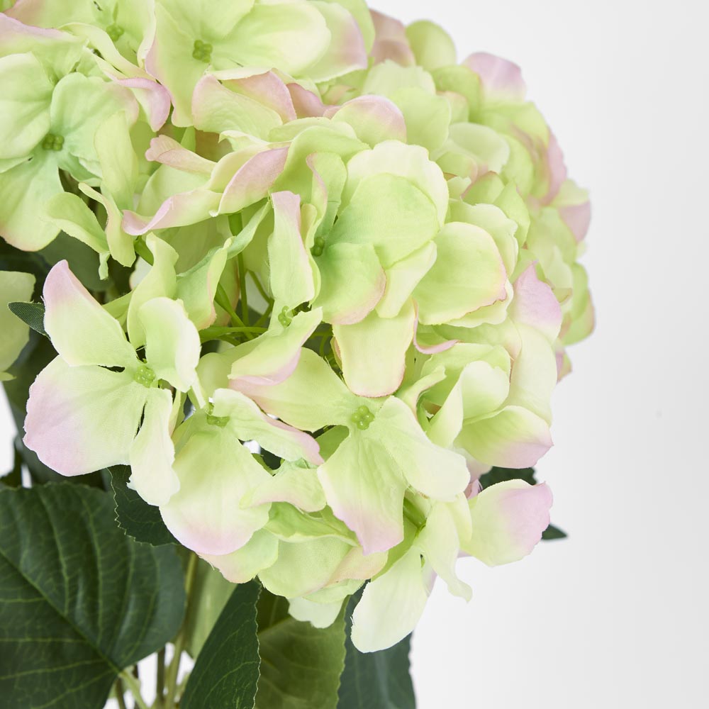 Hydrangea Bundle with Leaves 55cm Green & Pink