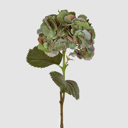 Hydrangea Large Stem With Leaves 75cm Green