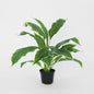 Hosta Plant Potted Real Touch 42cm