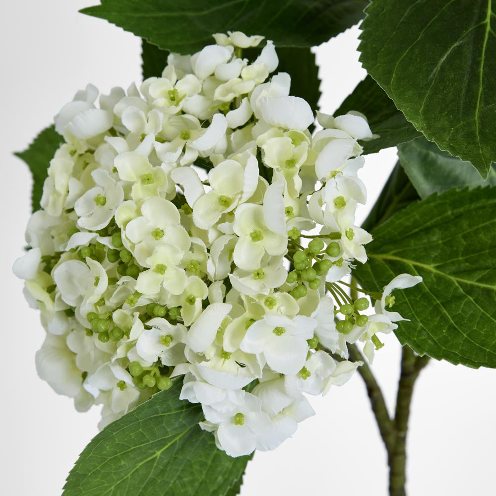 Hydrangea with Leaves 90cm White