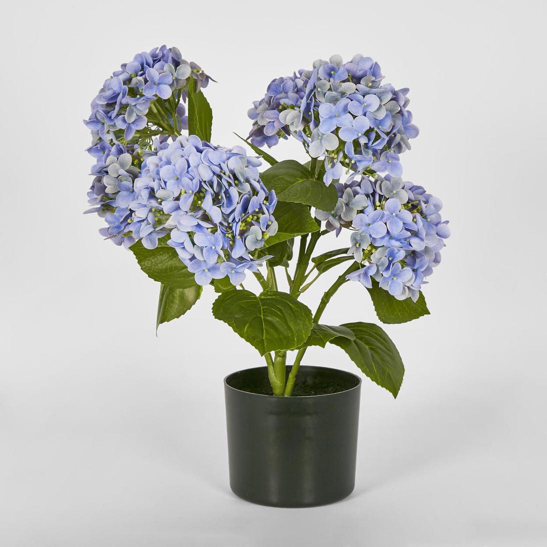 Hydrangea Potted Real Touch Blue 53cm