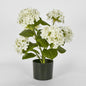 Hydrangea Potted Real Touch White 53cm