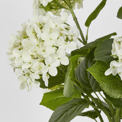 Hydrangea Potted Real Touch White 53cm