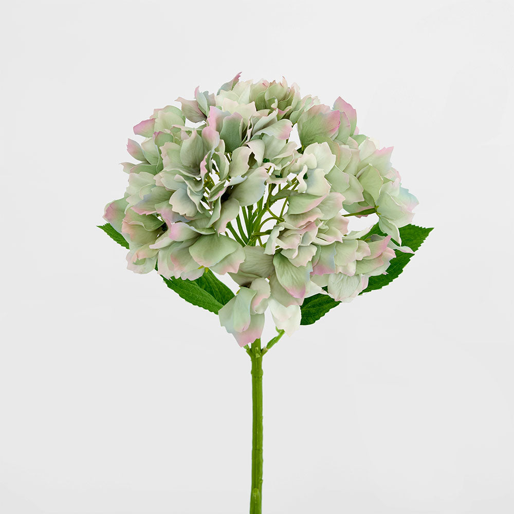 Hydrangea Stem Soft Touch 50cm Green