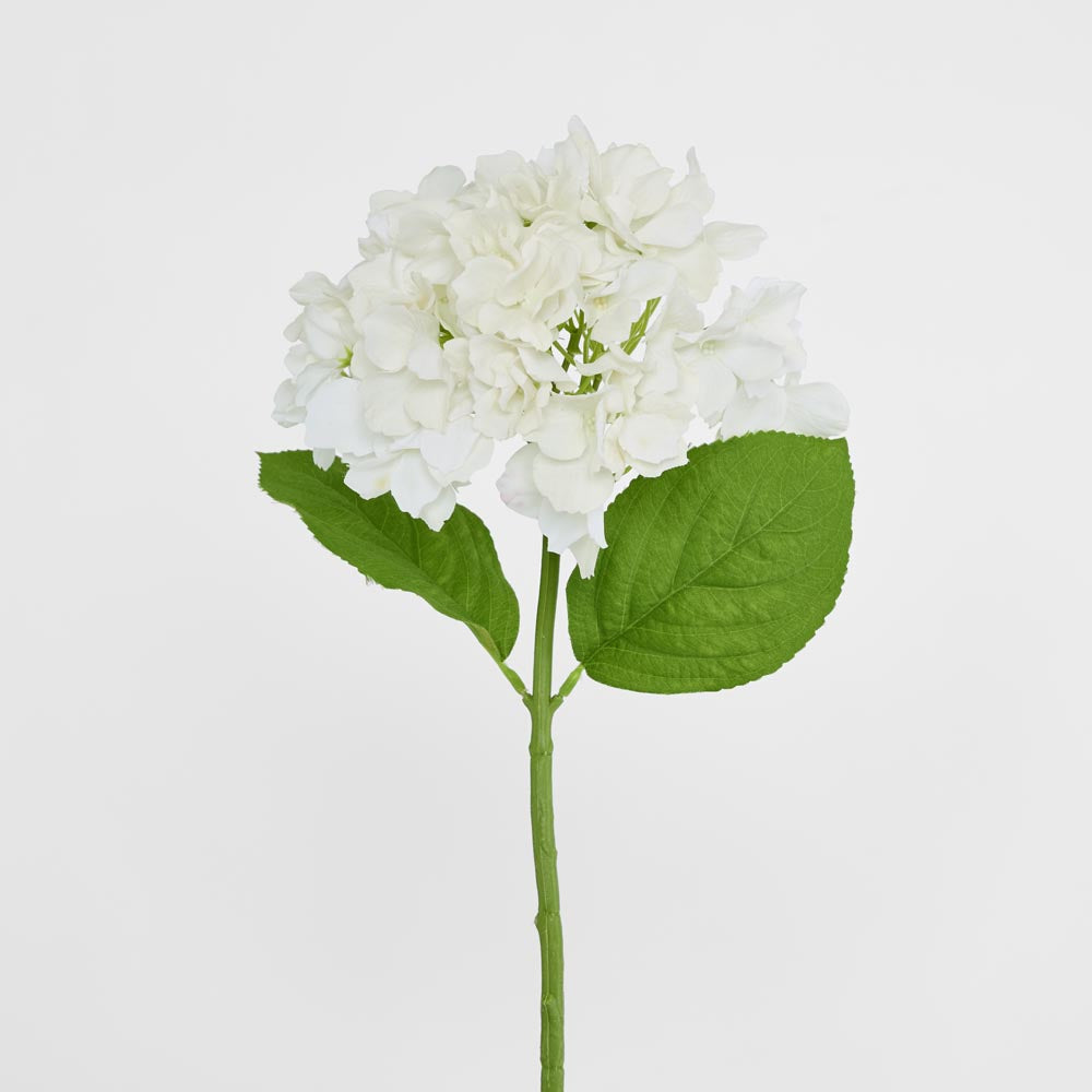 Hydrangea Stem Soft Touch 50cm White