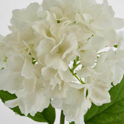 Hydrangea Stem Soft Touch 50cm White