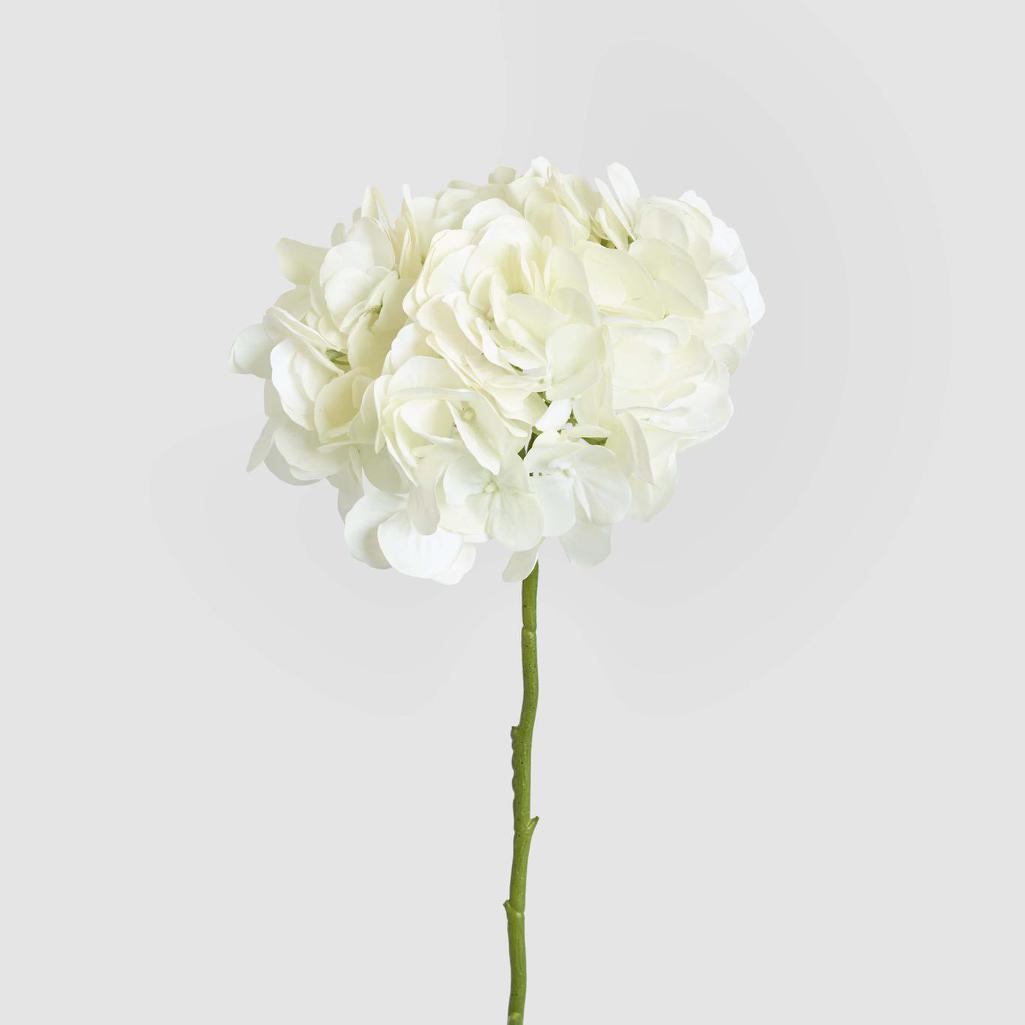 Hydrangea Soft Touch Stem 75cm Cream