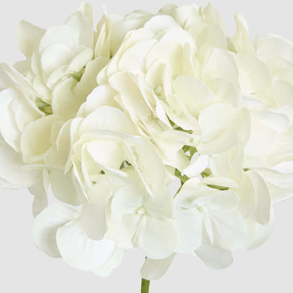 Hydrangea Soft Touch Stem 75cm Cream