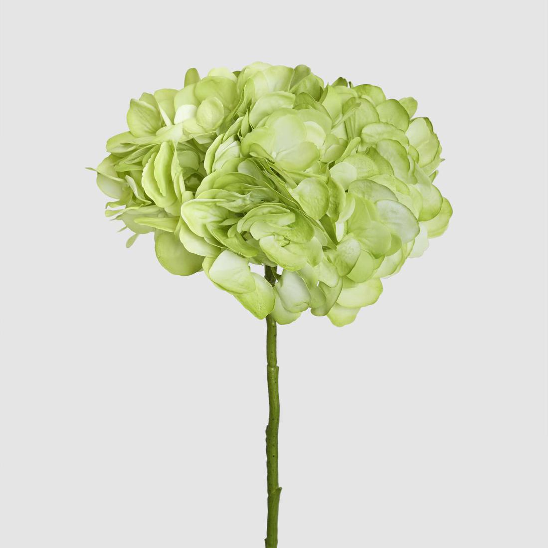 Hydrangea Soft Touch Stem 75cm Green