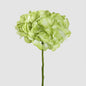Hydrangea Soft Touch Stem 75cm Green