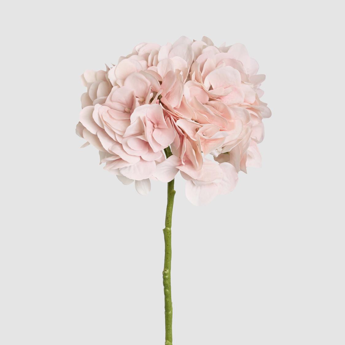 Hydrangea Soft Touch Stem 75cm Pink