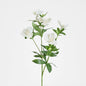 Helleborus Flower Spray 72cm White