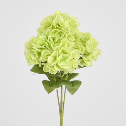 Hydrangea Fresh Touch Bunch Green
