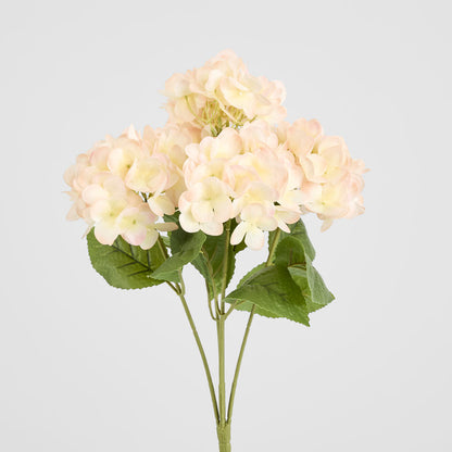 Hydrangea Fresh Touch Bunch Light Pink