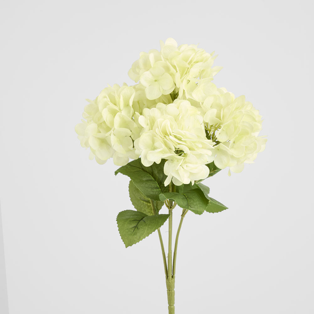 Hydrangea Fresh Touch Bunch White