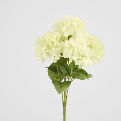 Hydrangea Fresh Touch Bunch White