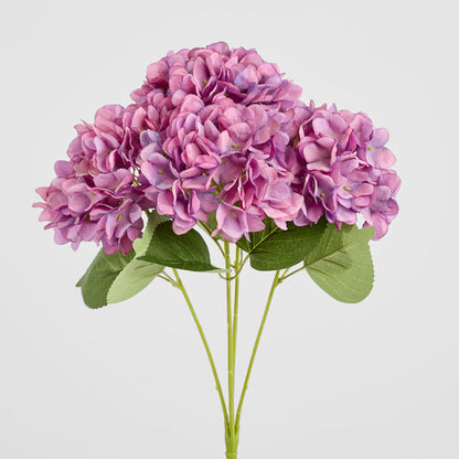 Hydrangea Yasmin Bunch Lavender