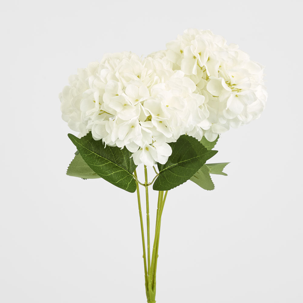 Hydrangea Yasmin Bunch White
