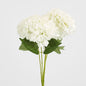 Hydrangea Yasmin Bunch White