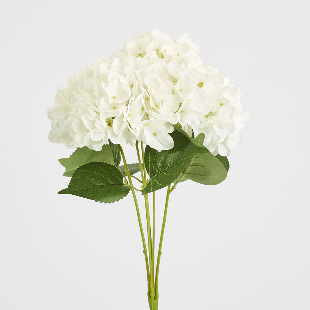 Hydrangea Yasmin Bunch White