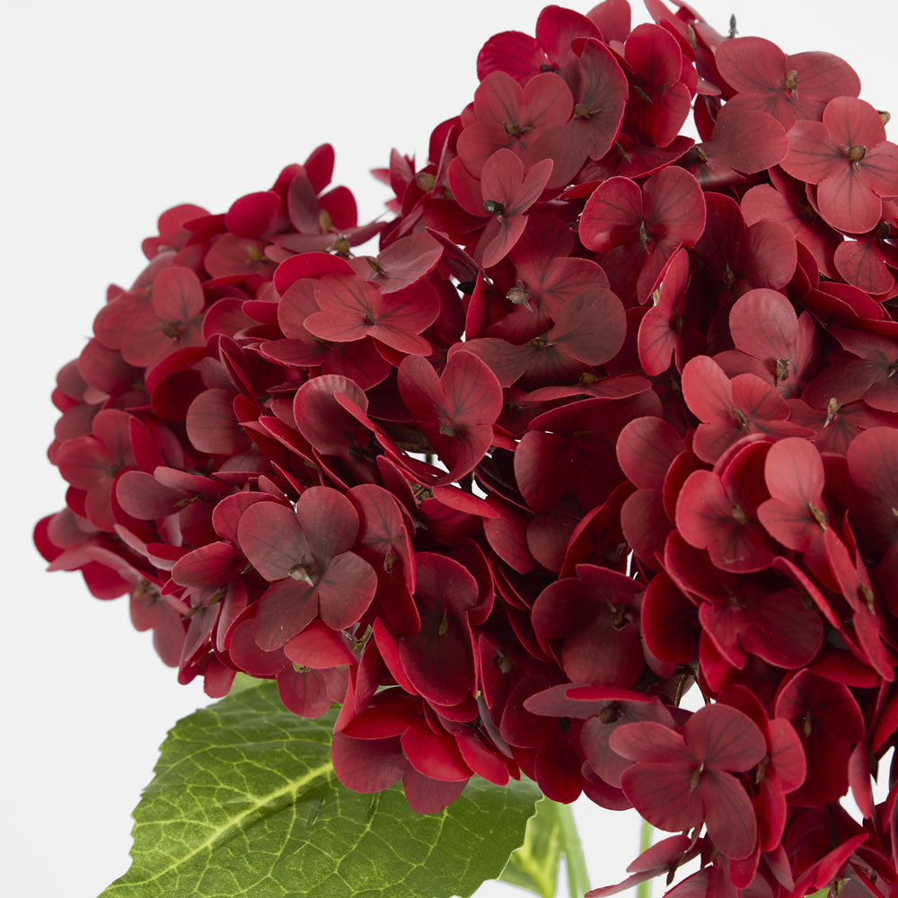 Hydrangea Real Touch 5 Head Bunch Burgundy