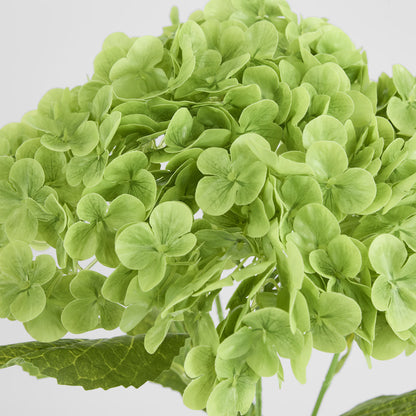 Hydrangea Real Touch 5 Head Bunch Green