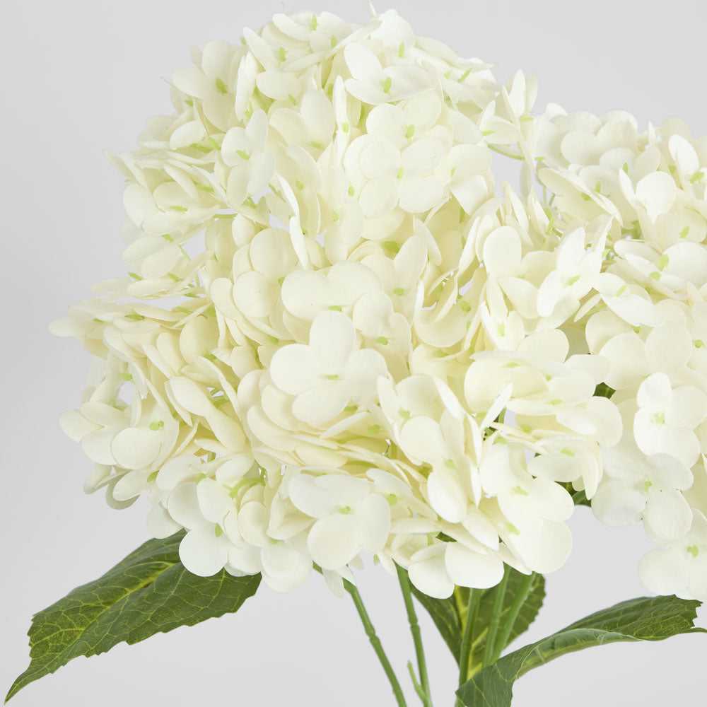 Hydrangea Real Touch 5 Head Bunch White