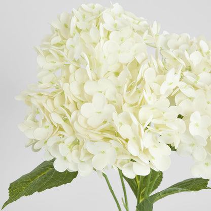 Hydrangea Real Touch 5 Head Bunch White