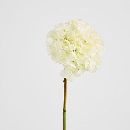 Hydrangea Ball Head Stem 48cm White