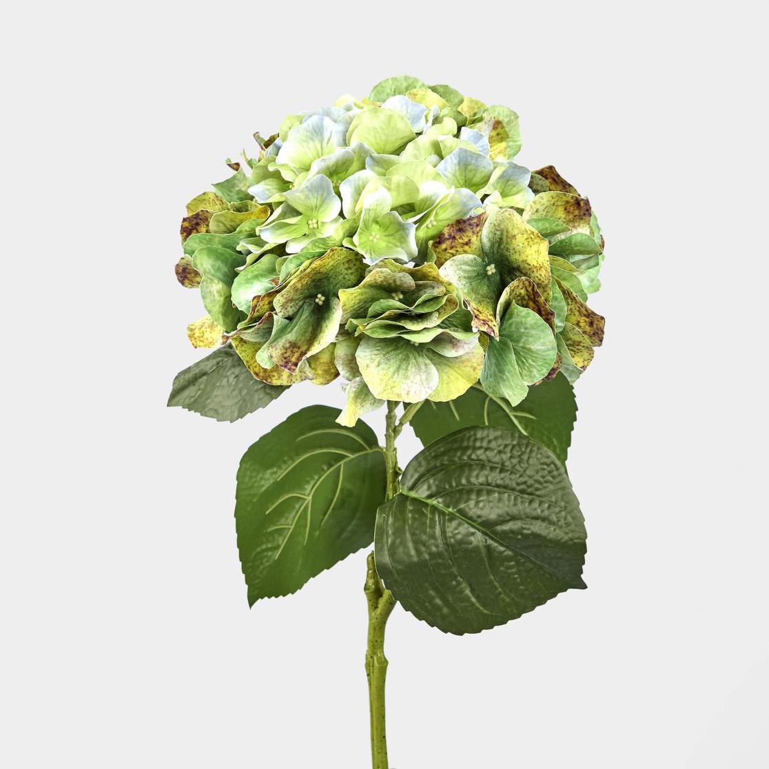 Hydrangea Real Touch Stem 64cm Green