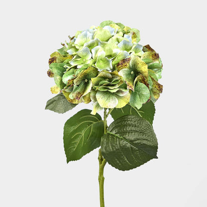 Hydrangea Real Touch Stem 64cm Green