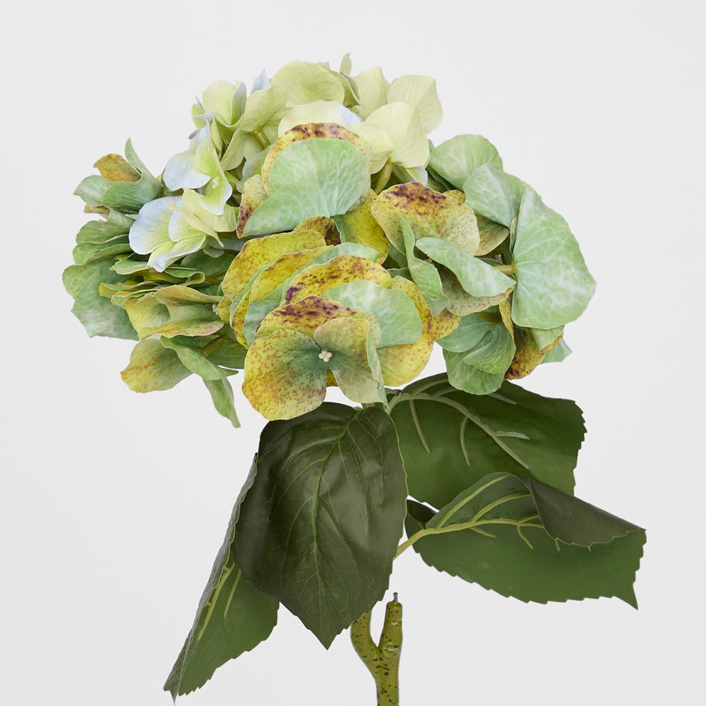 Hydrangea Real Touch Stem 64cm Green