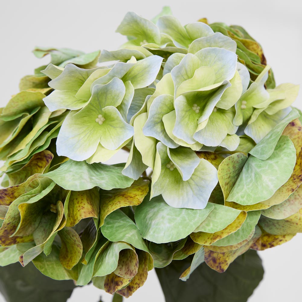 Hydrangea Real Touch Stem 64cm Green