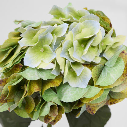 Hydrangea Real Touch Stem 64cm Green