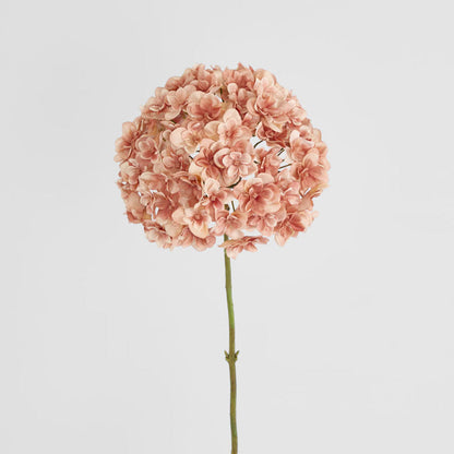 Hydrangea Coral 74cm