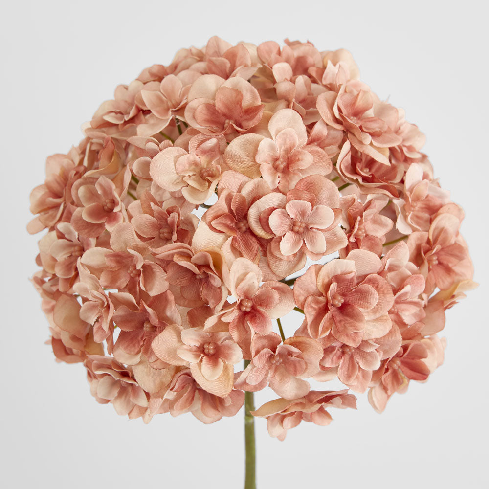 Hydrangea Coral 74cm