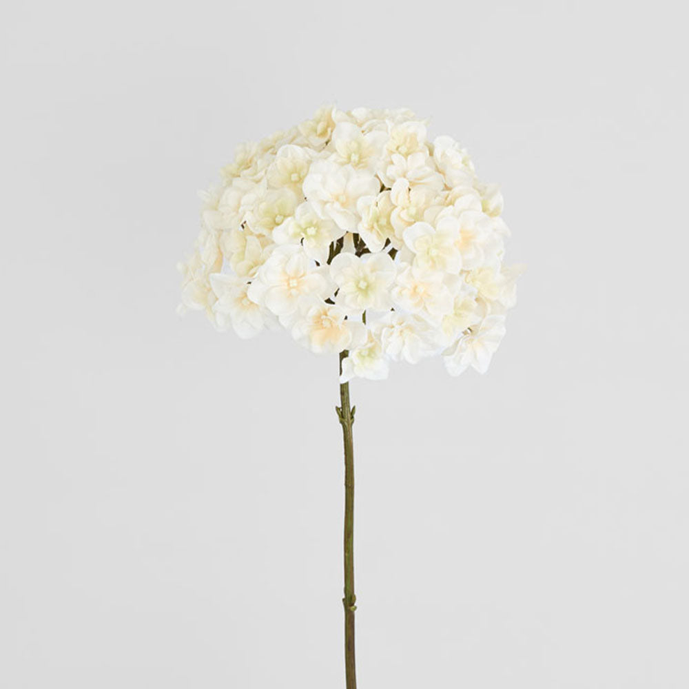 Hydrangea White 74cm