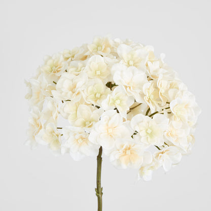 Hydrangea White 74cm